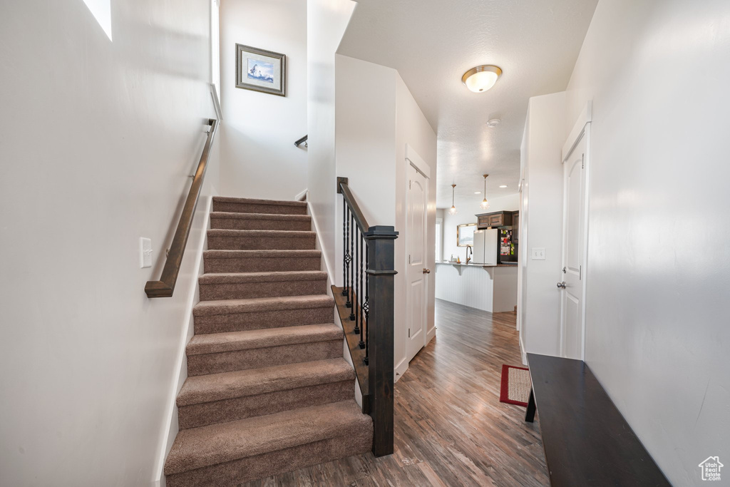 Staircase with wood finished floors