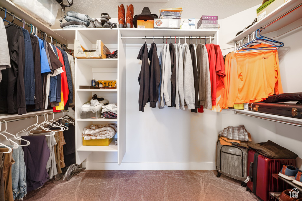 Walk in closet featuring carpet