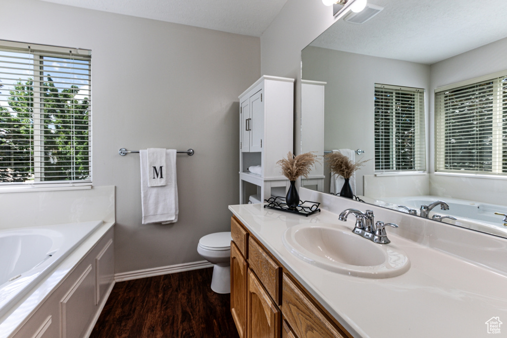 Bathroom with a bath, wood finished floors, vanity, and plenty of natural light