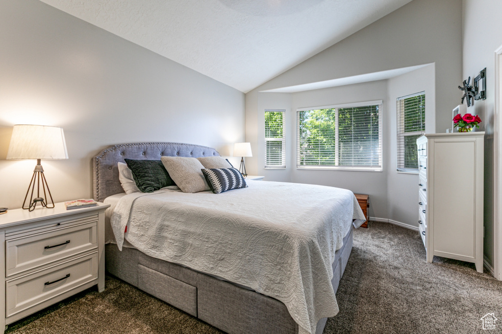 Bedroom with dark colored carpet and lofted ceiling