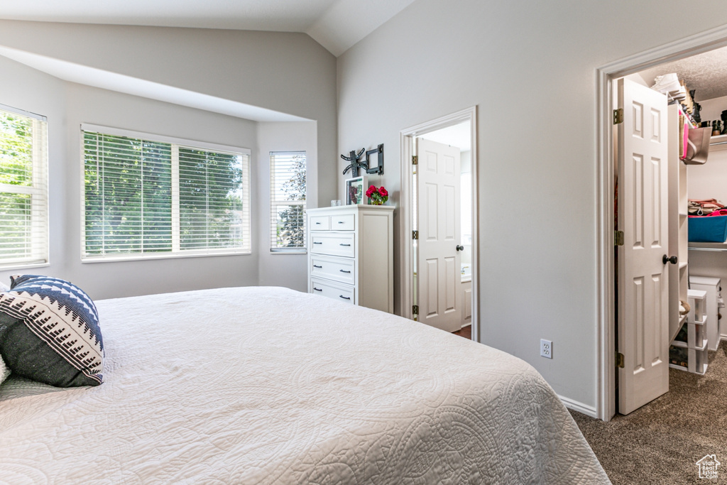 Bedroom with a spacious closet, carpet flooring, vaulted ceiling, and a closet