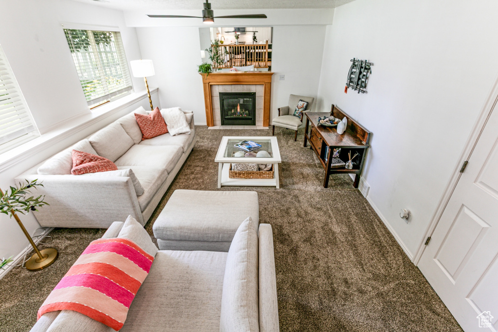 Carpeted living room featuring a ceiling fan and a fireplace