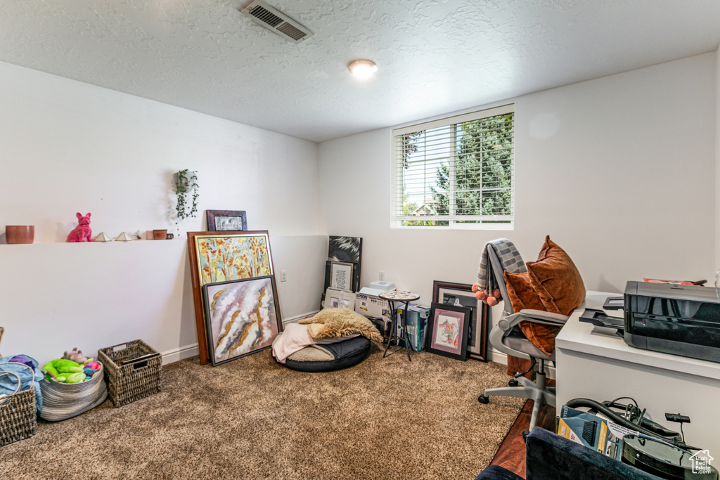 Office space with carpet and a textured ceiling