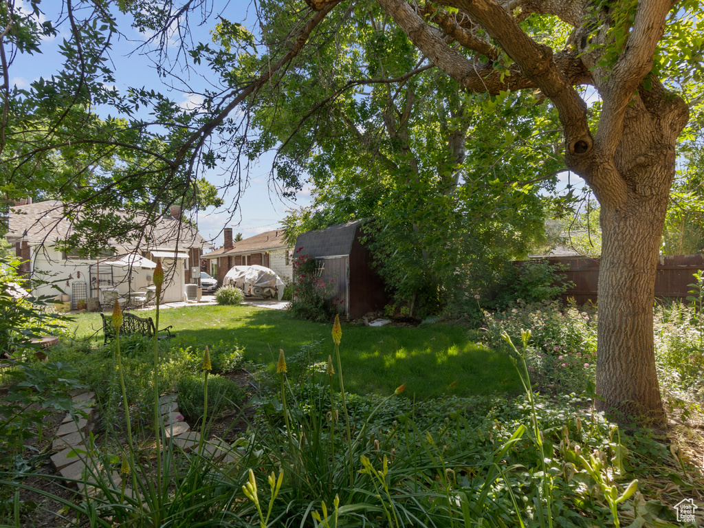 Fenced backyard with a storage shed