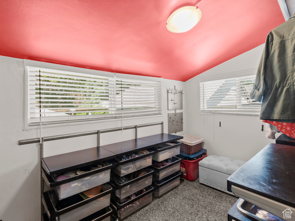Miscellaneous room with carpet floors and vaulted ceiling