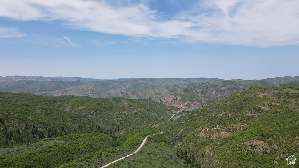 View of mountain backdrop with a heavily wooded area