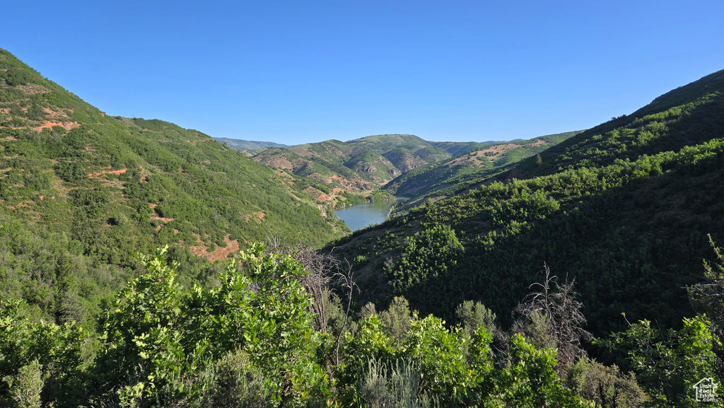 View of mountain backdrop featuring a large body of water and a forest
