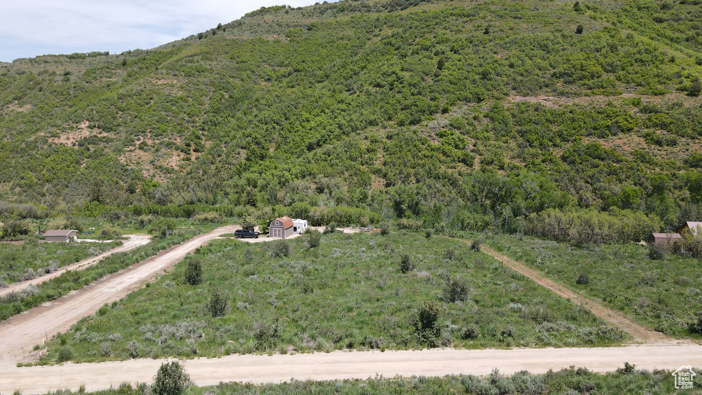 Mountain view with a forest