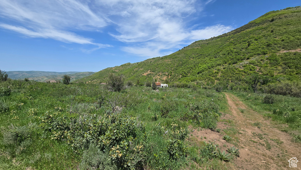 View of mountain backdrop