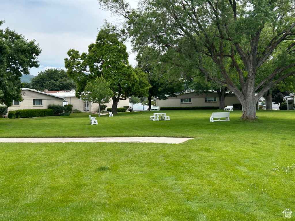 View of green lawn