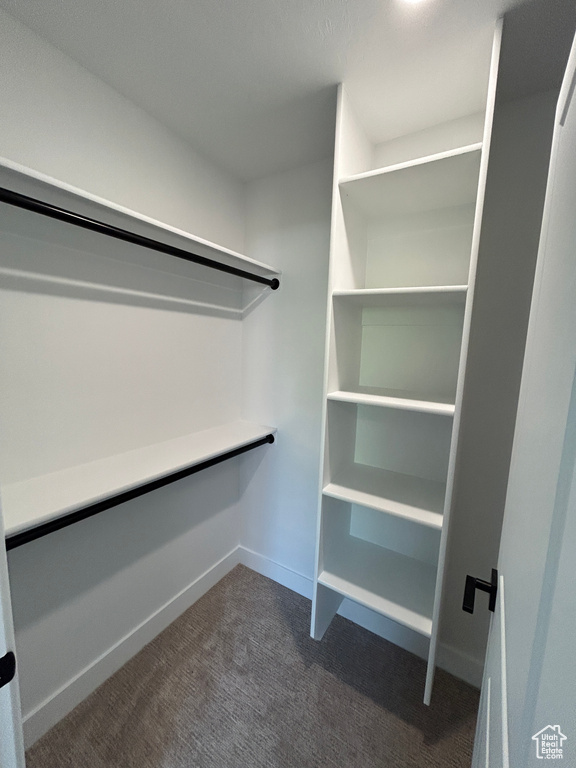 Walk in closet featuring dark colored carpet