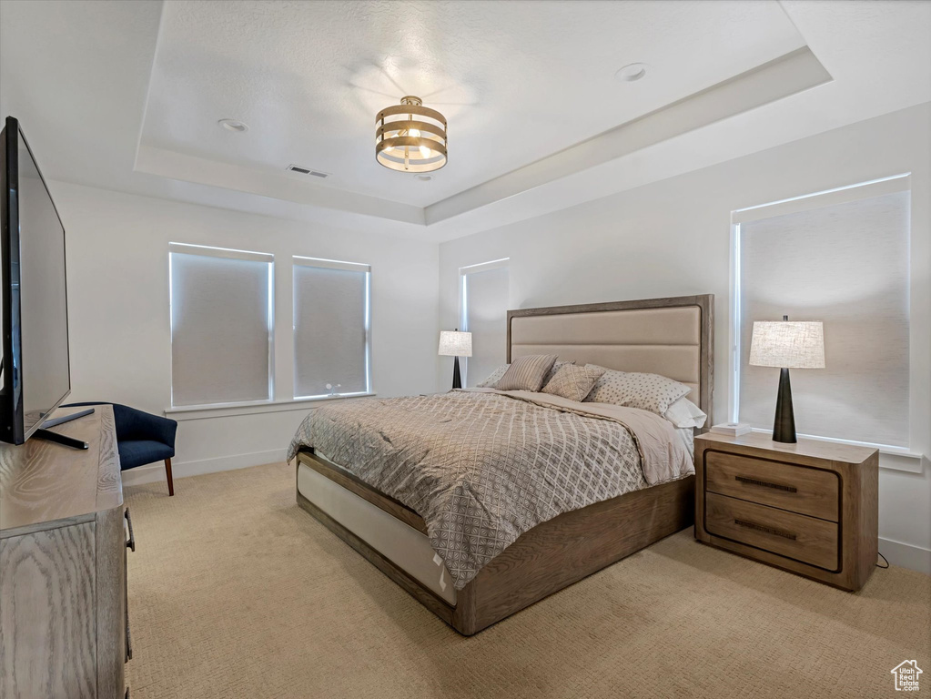 Bedroom featuring a raised ceiling and light colored carpet