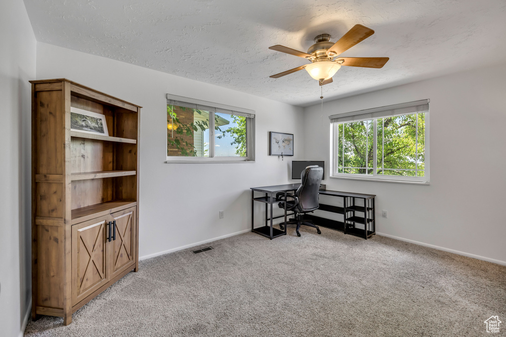 Office space with plenty of natural light, carpet, a ceiling fan, and a textured ceiling