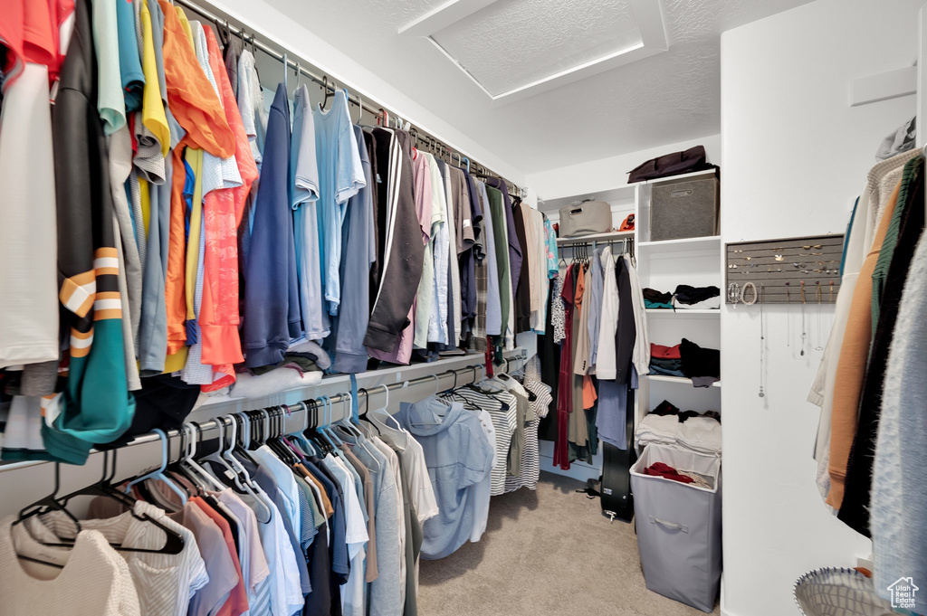 Spacious closet featuring attic access and carpet floors