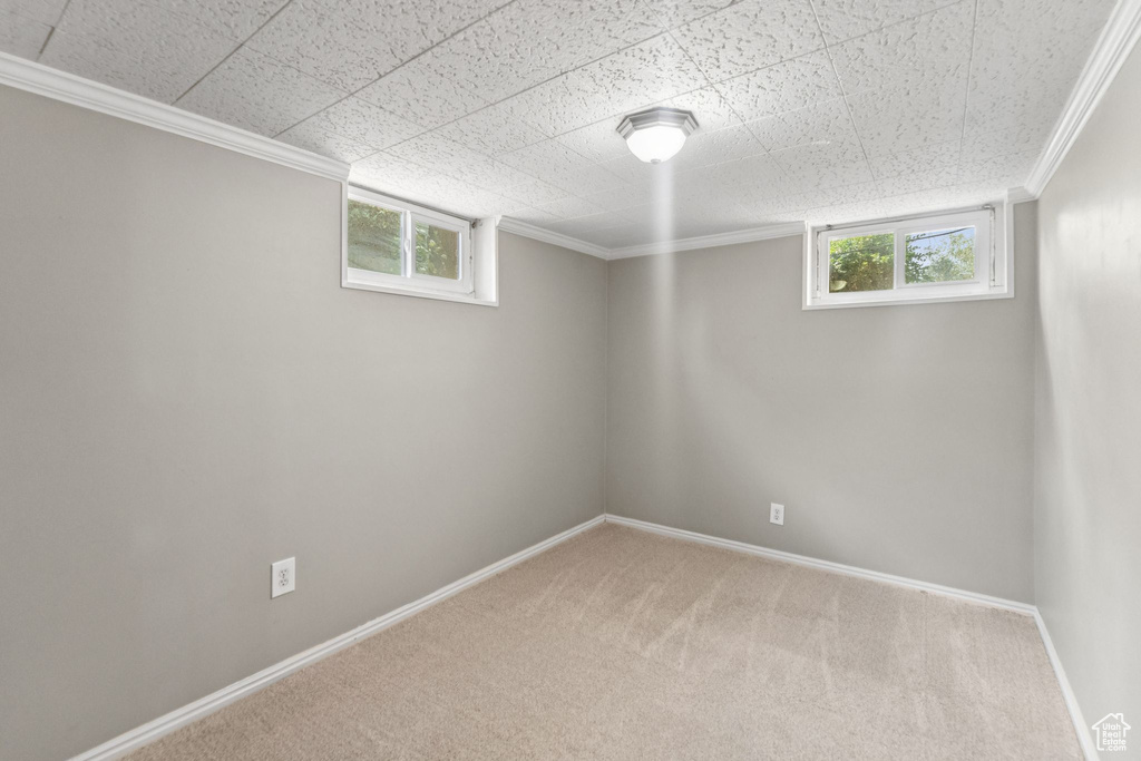 Basement with carpet floors and crown molding