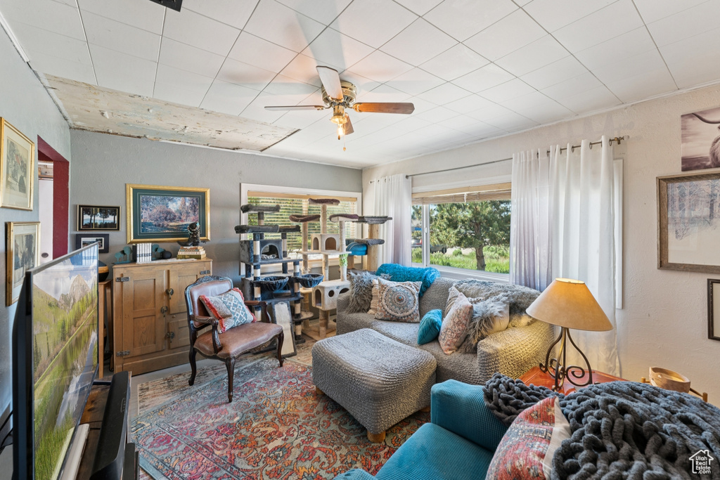 Living area featuring ceiling fan