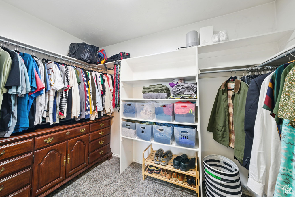 Walk in closet featuring carpet flooring