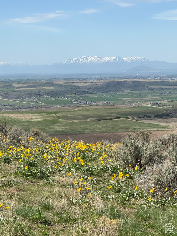 Mountain view with rural landscape
