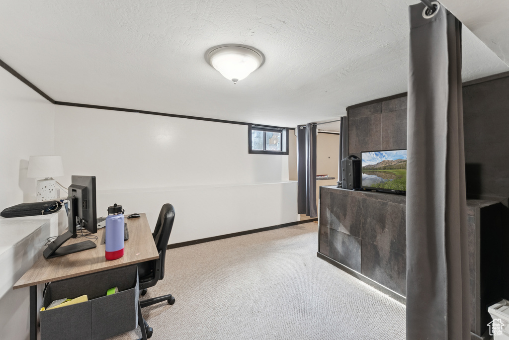 Office featuring carpet and a textured ceiling