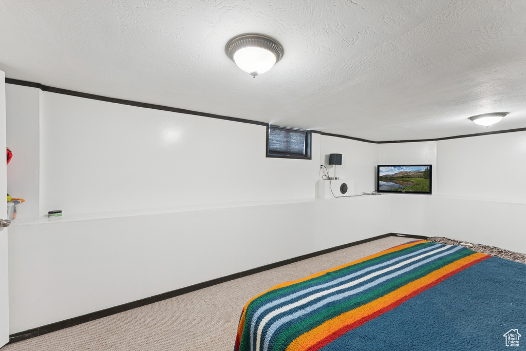 Bedroom featuring carpet floors and a textured ceiling