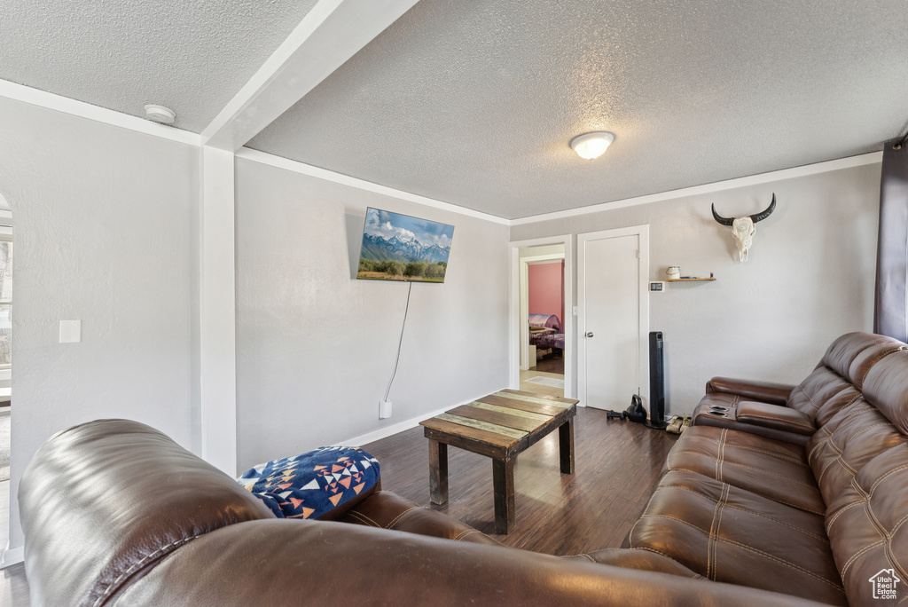 Living room with a textured ceiling, dark wood-type flooring, and crown molding