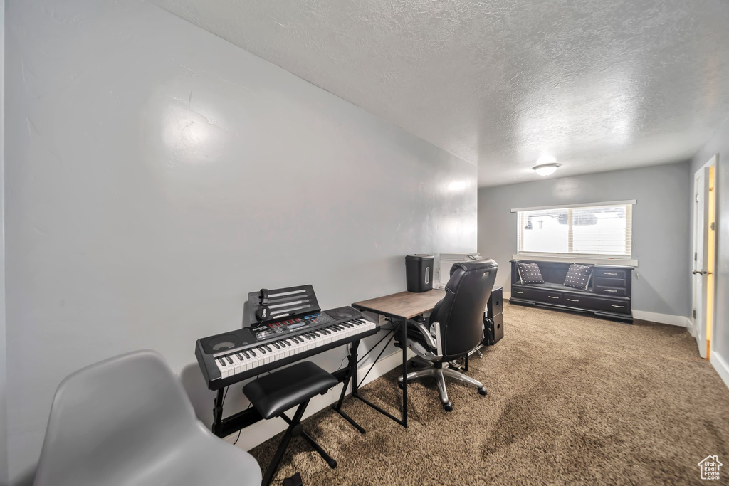Office area featuring a textured ceiling and carpet floors