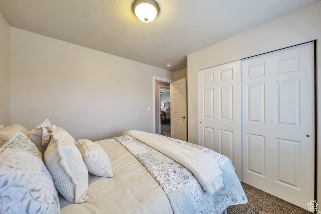 Carpeted bedroom featuring a closet