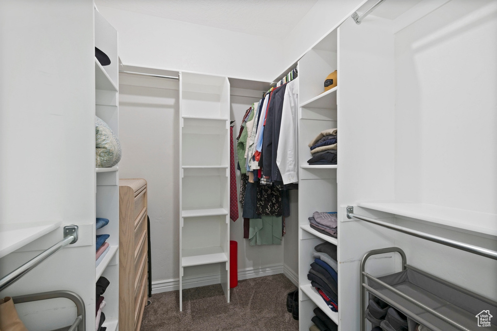 Walk in closet with carpet