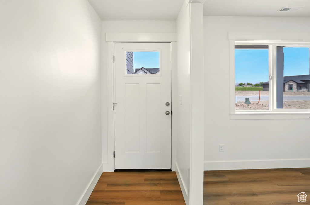 Foyer featuring wood finished floors and plenty of natural light