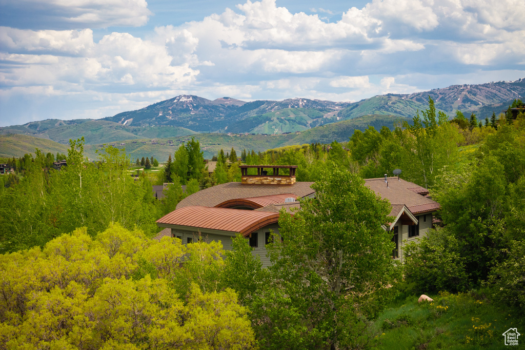 View of mountain background