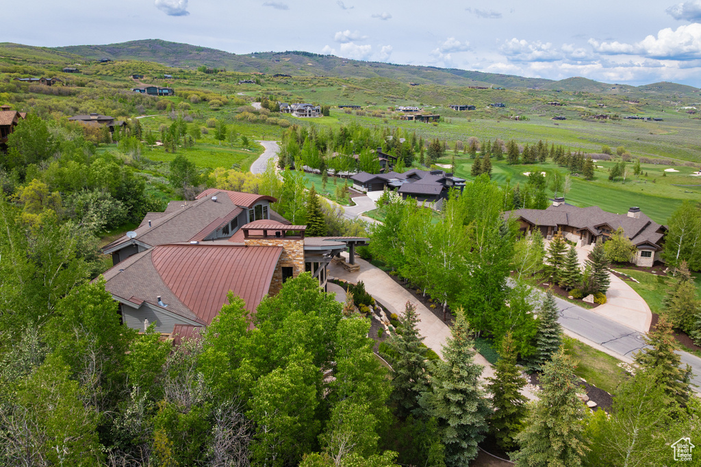 Bird's eye view of mountains