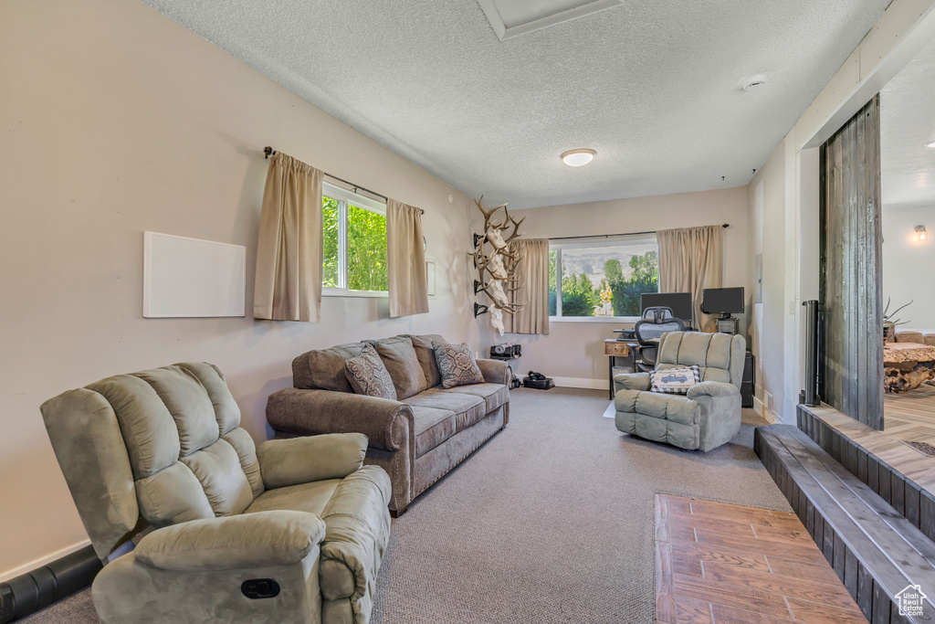 Living room featuring a textured ceiling and carpet flooring