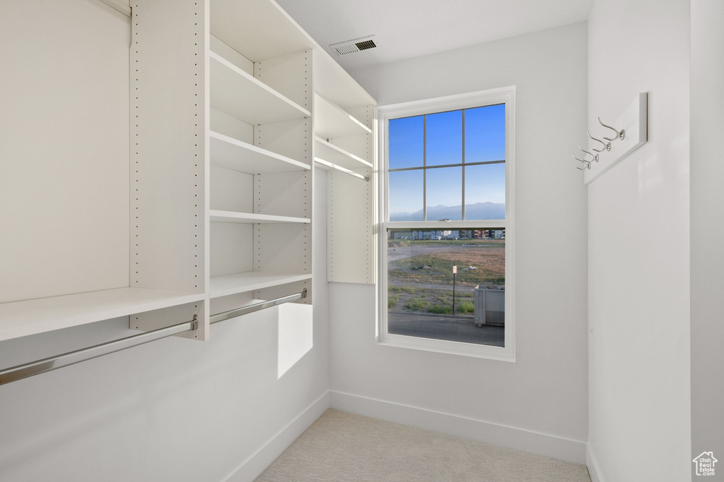 Spacious closet featuring carpet flooring