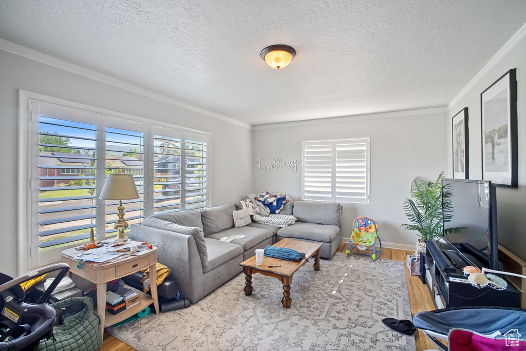 Living area with wood finished floors, ornamental molding, a textured ceiling, and baseboards