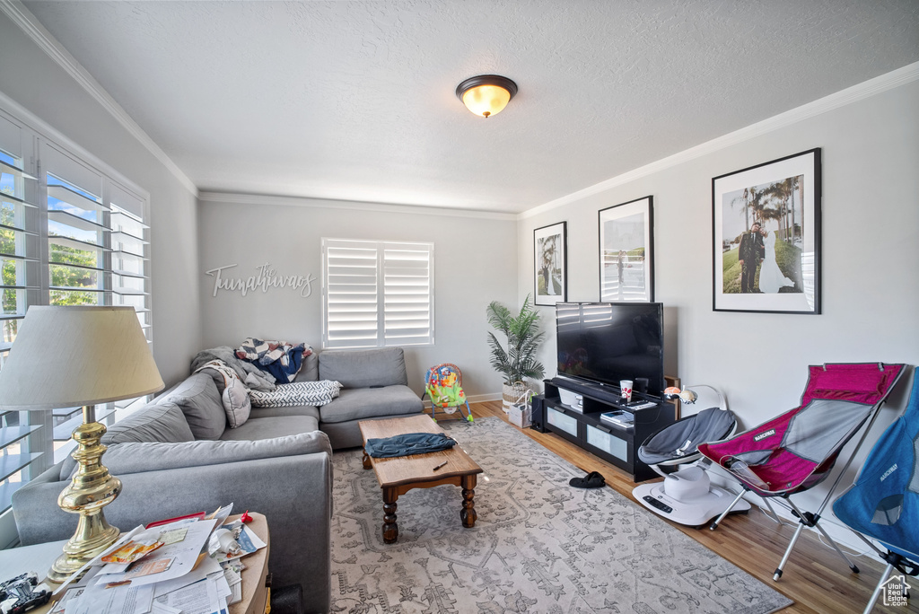 Living room featuring crown molding, wood finished floors, and baseboards