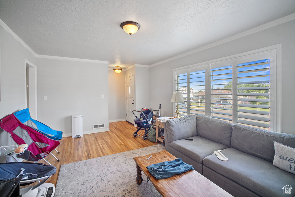 Living room with wood finished floors, baseboards, a textured ceiling, and ornamental molding