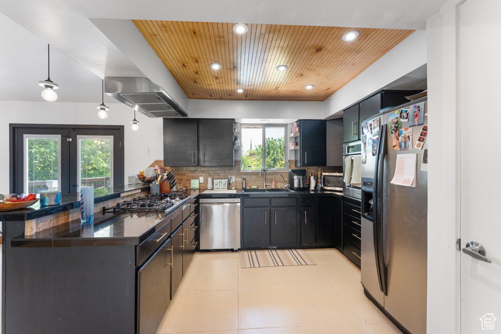 Kitchen with stainless steel appliances, a sink, open shelves, plenty of natural light, and wood ceiling