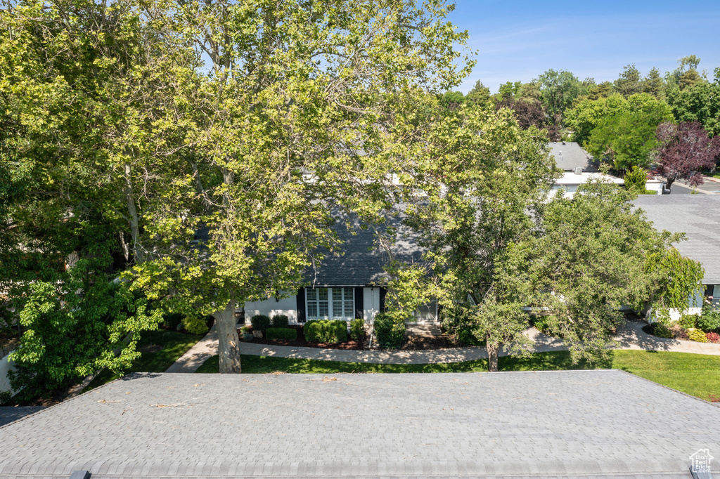 View of property hidden behind natural elements