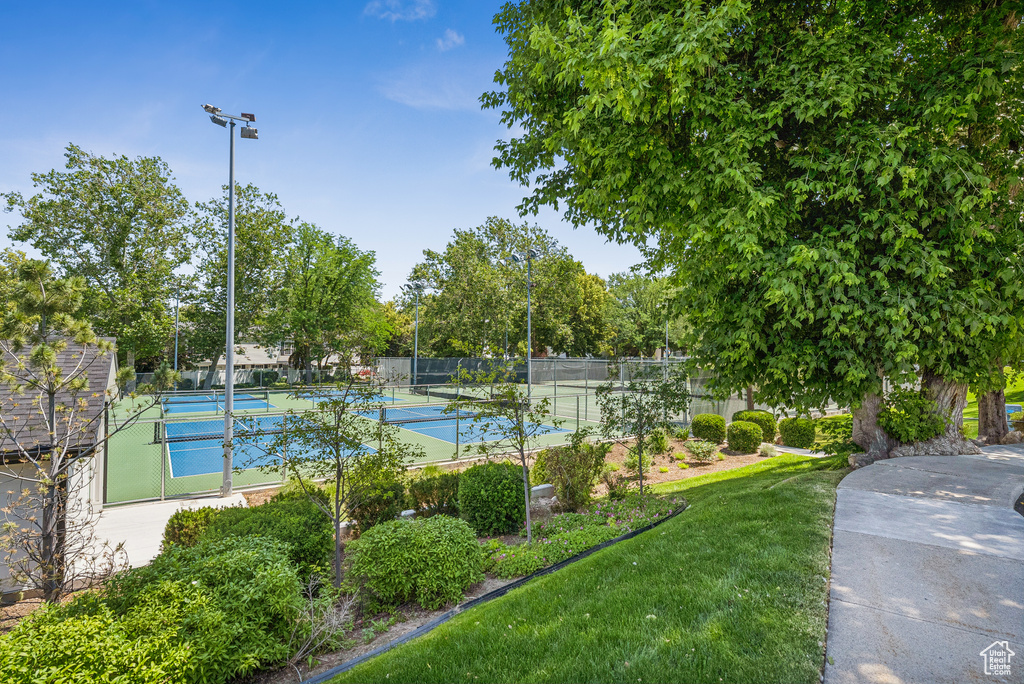 View of tennis court