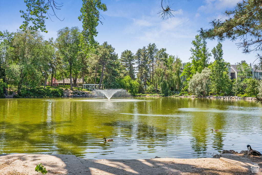 Water view