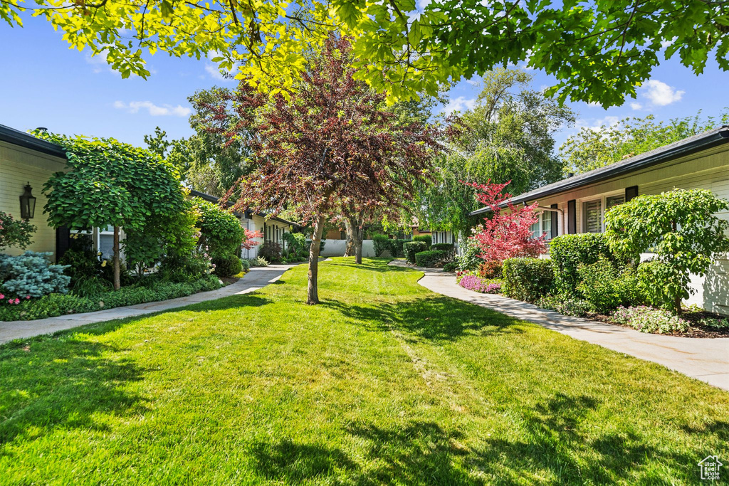 View of green lawn