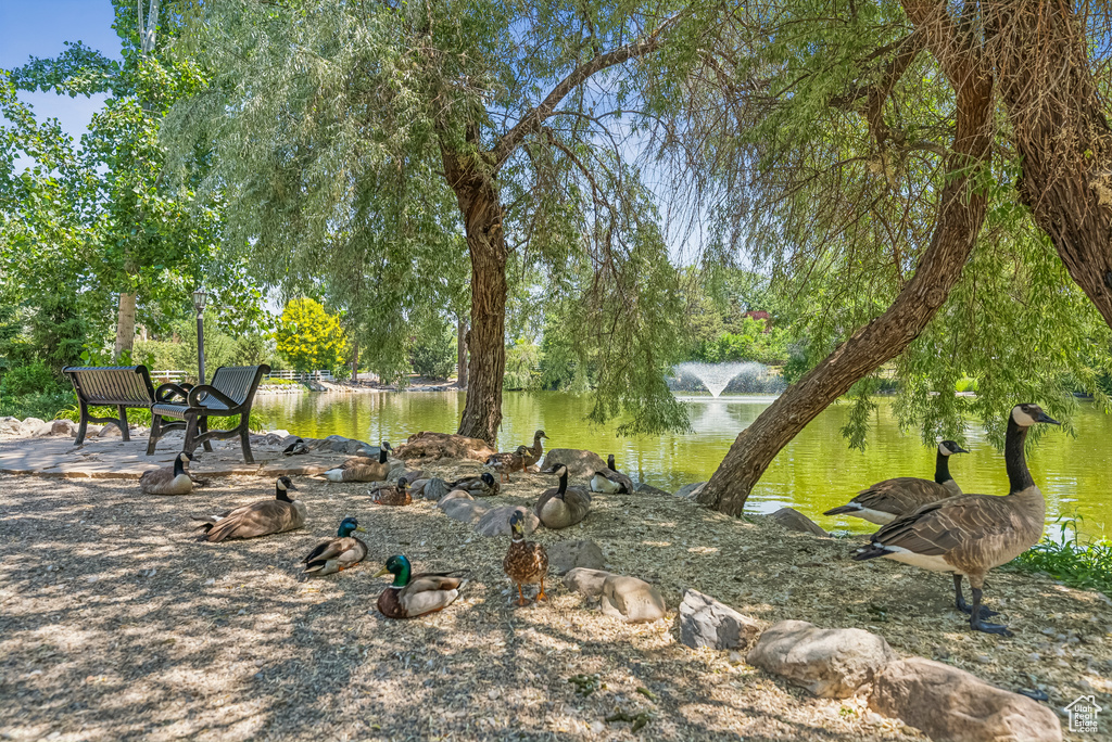 View of yard with a water view and view of wooded area