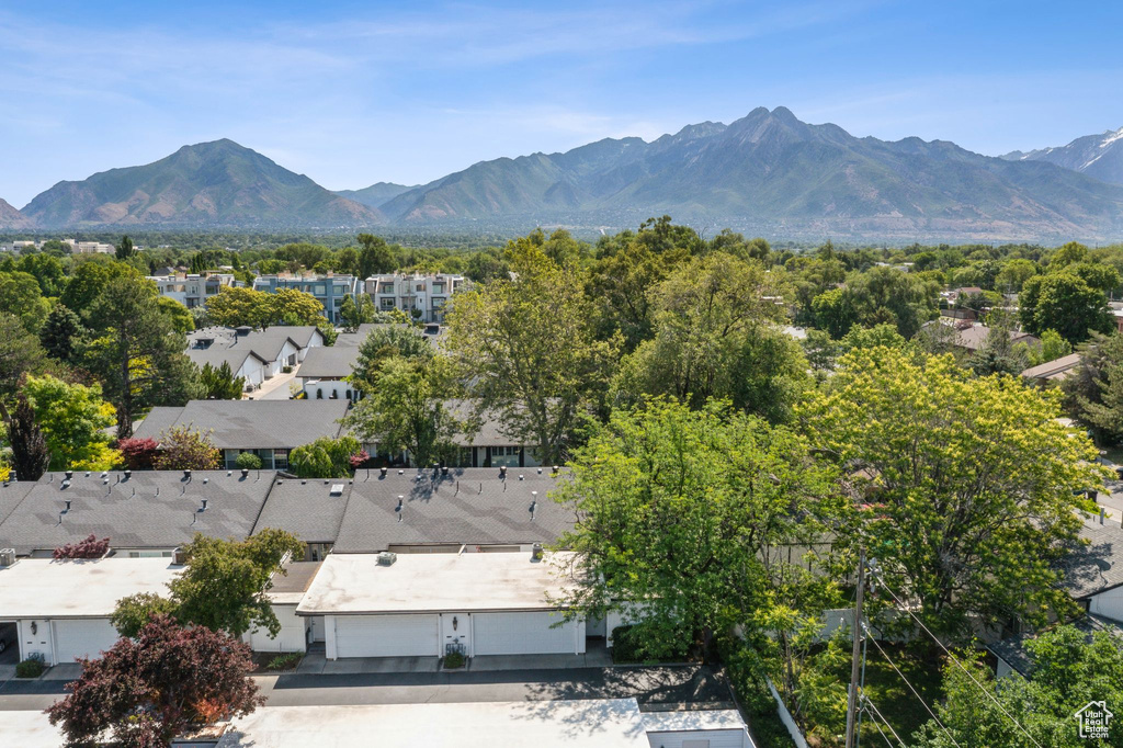 View of mountain background