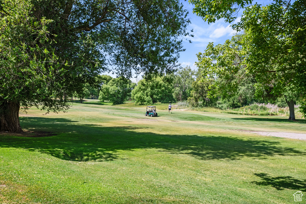 View of community with a lawn and view of scattered trees