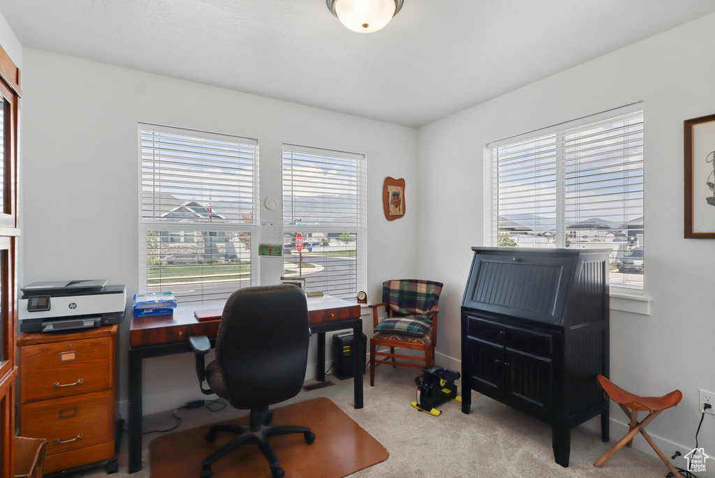 Office space featuring healthy amount of natural light and light colored carpet