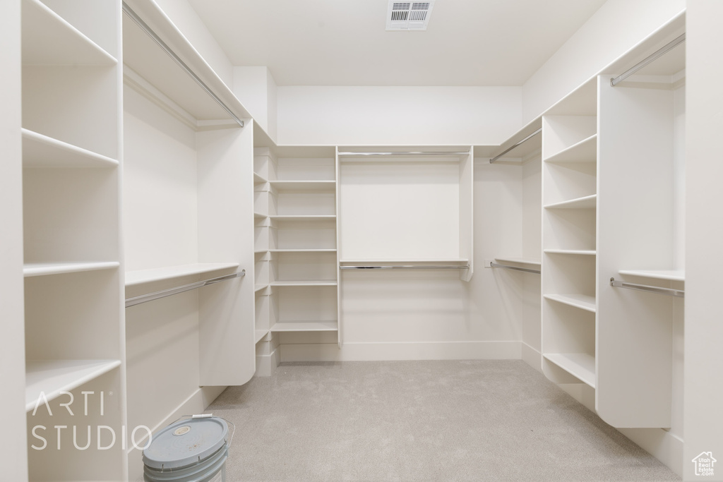Spacious closet featuring light carpet