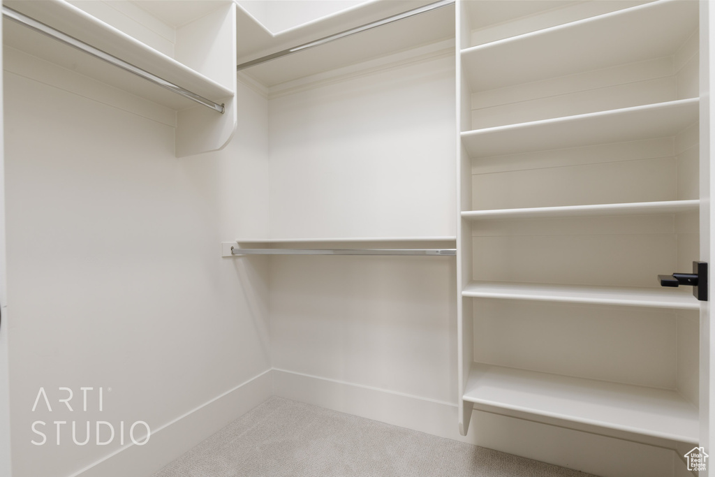 Spacious closet featuring carpet flooring