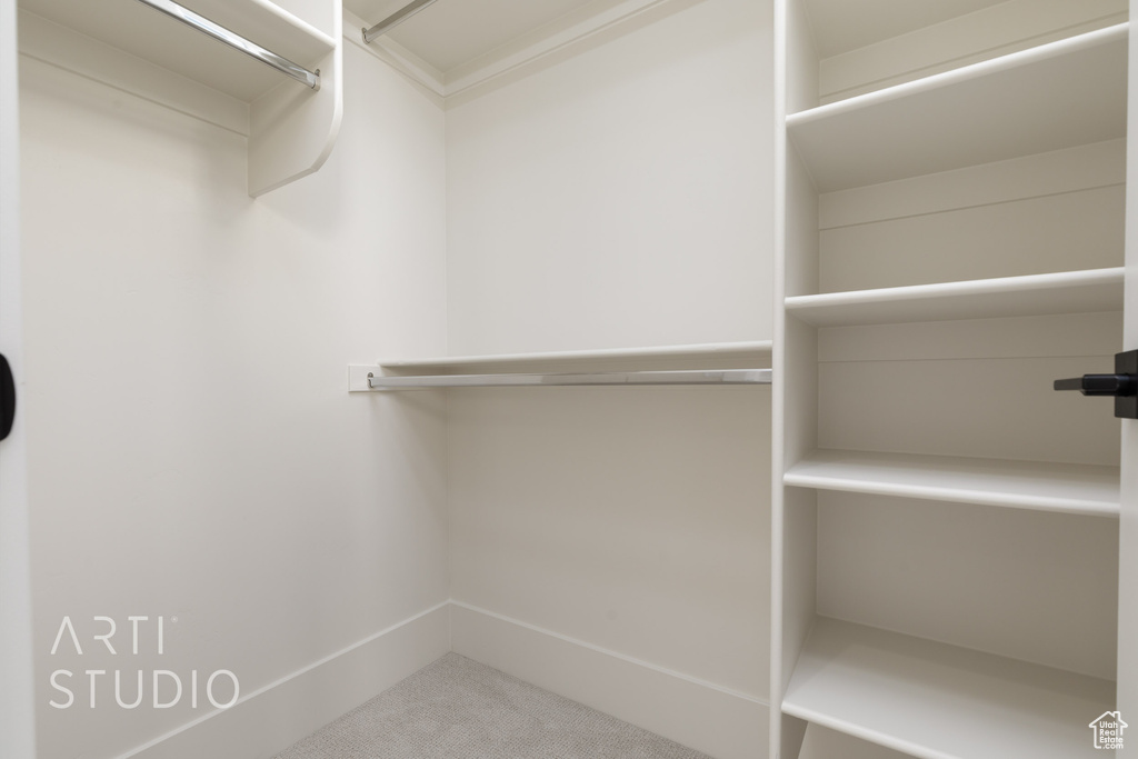 Spacious closet featuring carpet flooring