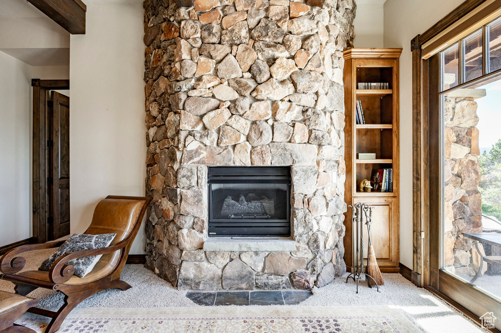 Detailed view of carpet floors and a fireplace
