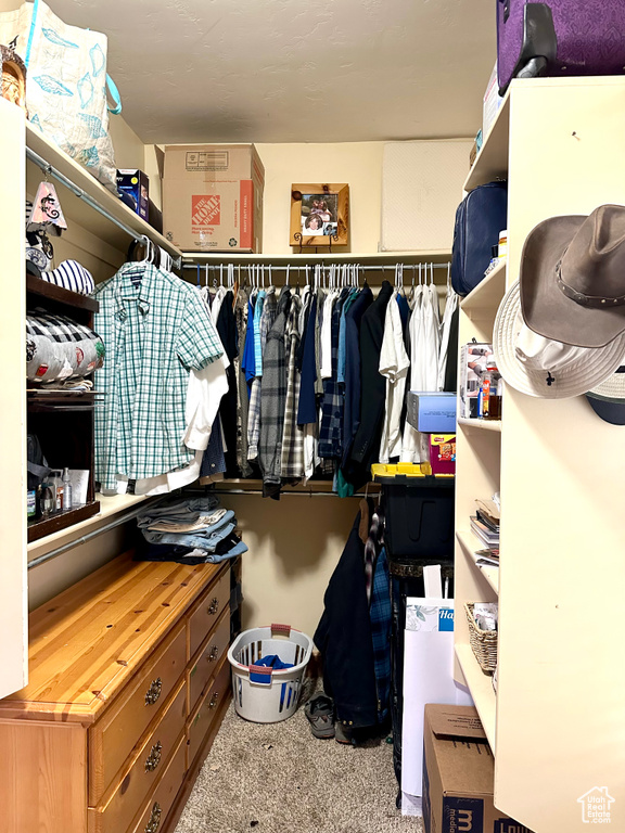 Walk in closet featuring carpet floors